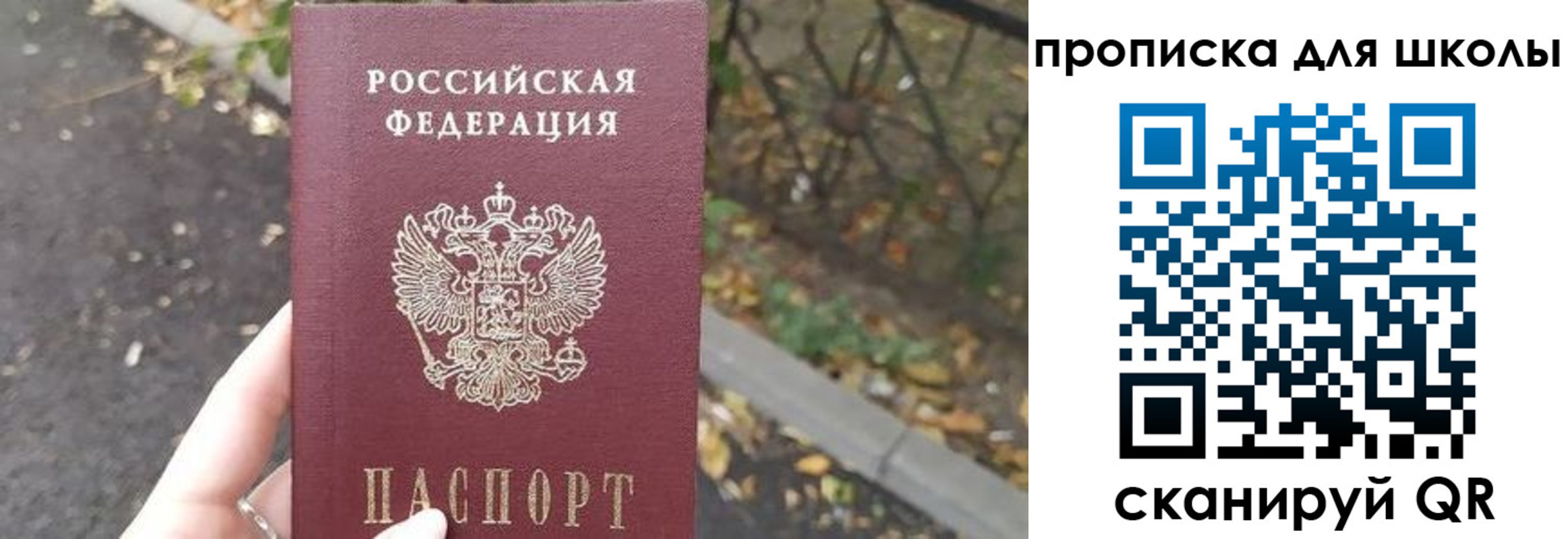 временная регистрация гарантия в Сертолово